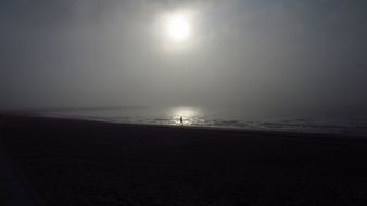 dark coast in the fog