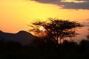 colorful sunset east sun of acacia africa