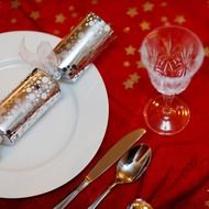 celebration christmas dining decoration