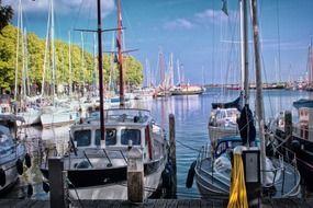 marina for yachts in the sunny harbor