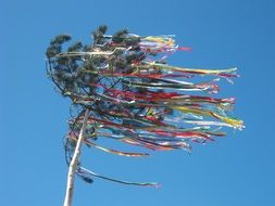 maypole tree with colourful ribbons