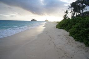 Beach in Hawaii