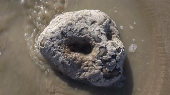 stone as a face