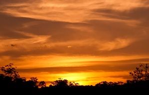 A glowing sunset over the treetops
