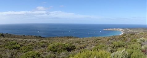 panorama of the island thistle