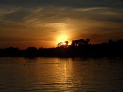 view from the water of tree silhouettes at sunset