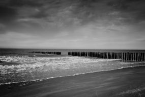 sea beach black white photo