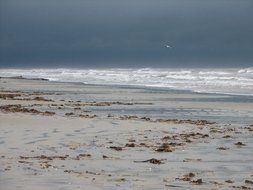 storm waves on the gulf in Mexico