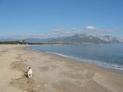 landscape of sea beach in Sardinia