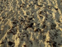 awesome shore sand