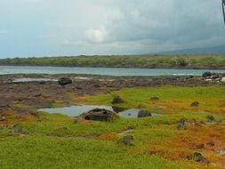 Landscape of Island of Hawaii