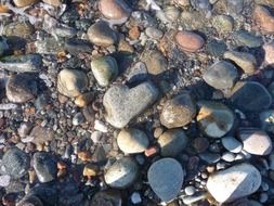 sea ââpebbles as a heart