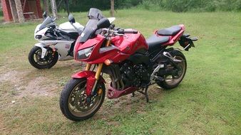 two honda motorcycles in the park on green grass