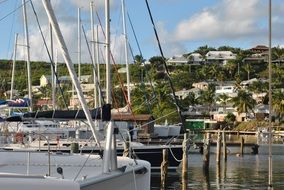 luxury yachts in the bay on the island of Saint Martin