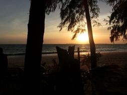 sunset over the beach with palm trees