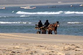 horse carriage on the beach