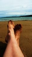 feet on a sandy beach close up