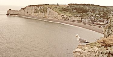 the French coast and gulls