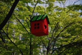 Colorful little house on tree in a park in asia