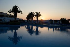 picture of the palm trees in a hotel