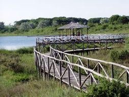 Rosolina Mare beach