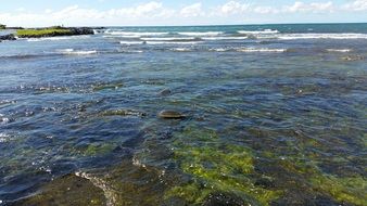sea shallow water