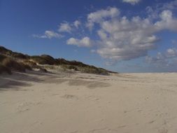 sunny salt marsh beach panorama