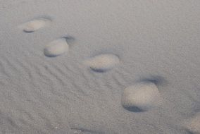 round footprints in white sand