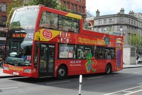 red double decker tourist bus