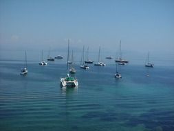 yachts in the turquoise sea