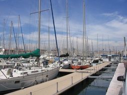 many boats in the port of marseille