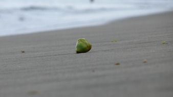 fruit on the beach in Hawaii