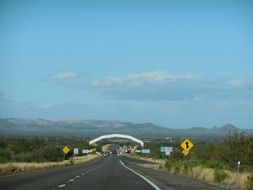 united states border patrol in Arizona