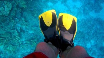 Fins of the diver