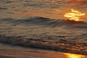beautiful wave
