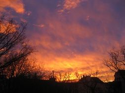 romantic view of the orange sky at sunset