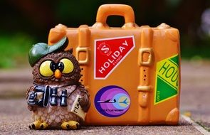 toy owl tourist with a map
