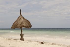 beach umbrella on the shore in Bohol