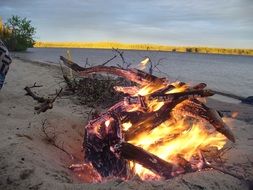 bonfire near the camping on the beach