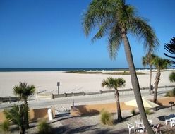 white sand beach and palm trees