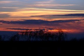 red sky over trees in the evening