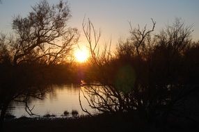 marsh dark at sunset