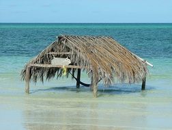 straw canopy at the edge of the sea