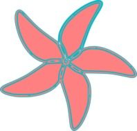 starfish drawing