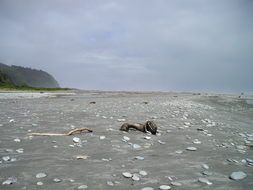 Grey sand beach in New Zealand
