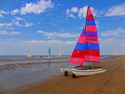 really beautiful catamaran