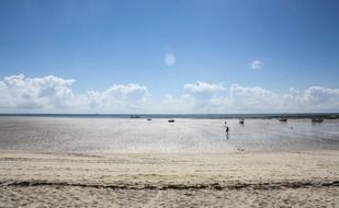 tropical coast in Mombasa