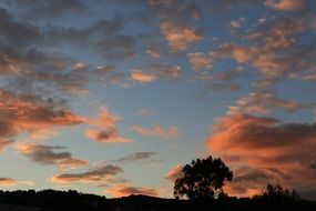 trees silhouettes under cloudy sky at dusk