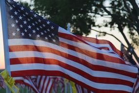memorial day in America