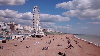 Beach in Brighton